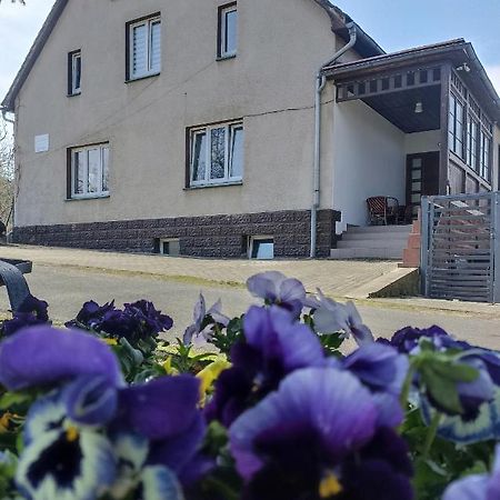Agroturystyka Nad Bobrem Pilchowice エクステリア 写真