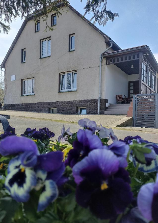 Agroturystyka Nad Bobrem Pilchowice エクステリア 写真