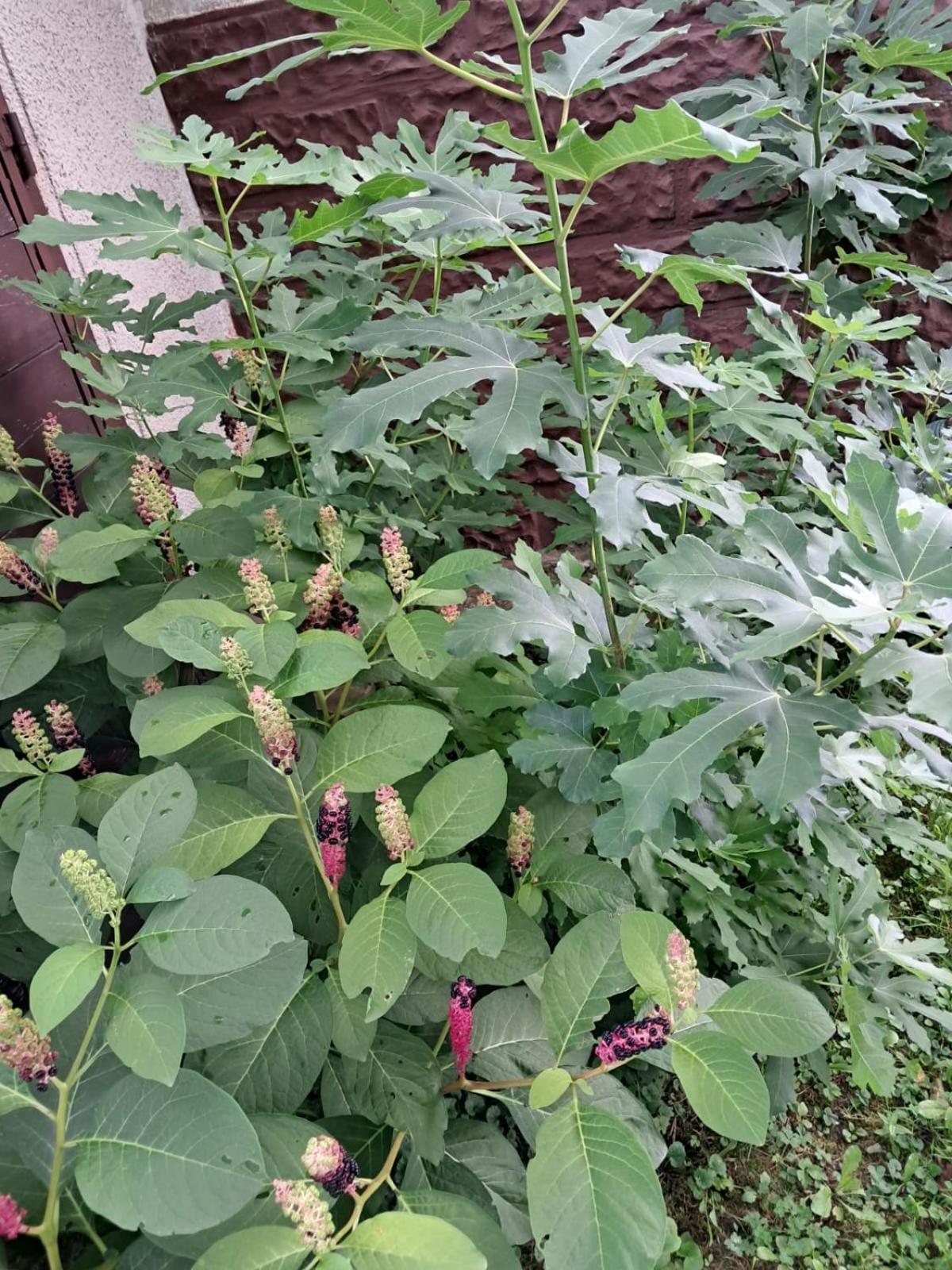 Agroturystyka Nad Bobrem Pilchowice エクステリア 写真